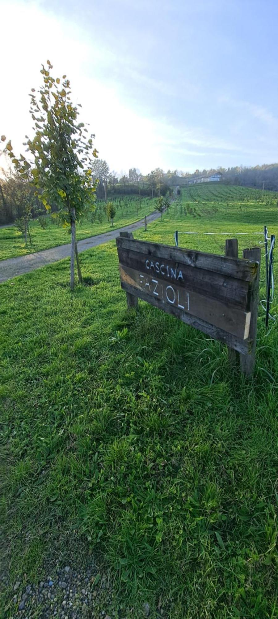 Cascina Fazioli Villa Alfiano Natta Buitenkant foto